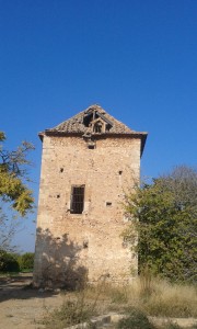 2. Torre Tadeo